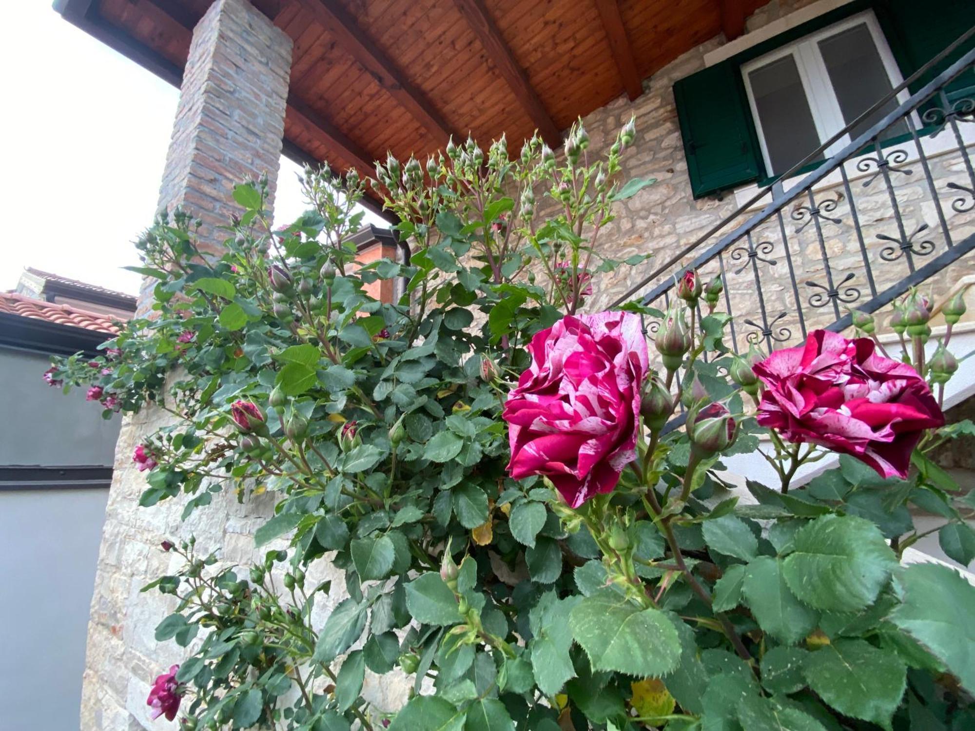 Villa Kortina Bašanija Exterior foto